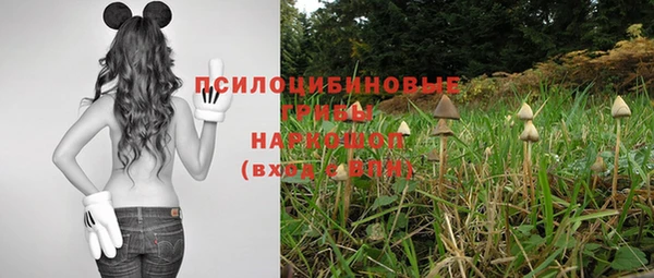 стаф Нефтекумск