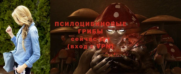 стаф Нефтекумск
