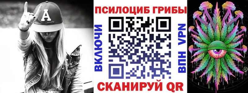 блэк спрут как зайти  цена   Пыталово  Галлюциногенные грибы GOLDEN TEACHER 